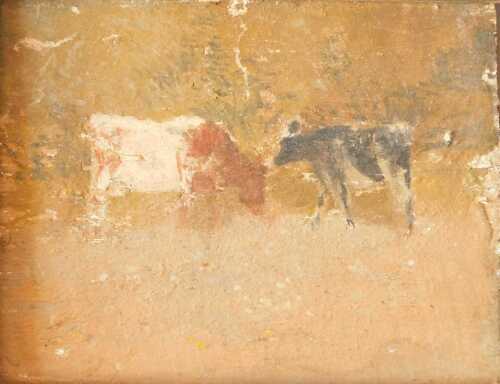 19th/20thC School. Cattle, oil on board, 12.5cm x 16.5cm. Offsite Sale - Buying & Collecting...