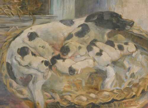 Y Simeon. Dog with puppies in a basket, oil on canvas, signed lower right, 49cm x 66cm. Offsite...