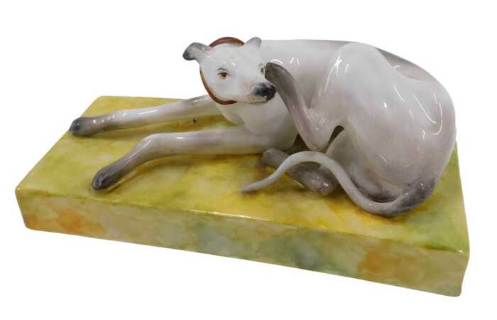 A Derby porcelain figure of a seated greyhound, with hind leg itching ear, in red collar on...