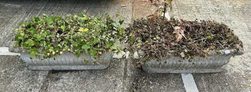 Two garden troughs.