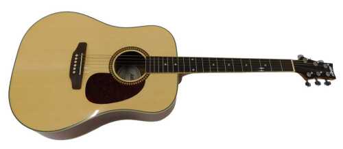 An Ashton model D25NT acoustic guitar, with six string, 93cm long, in fitted case.