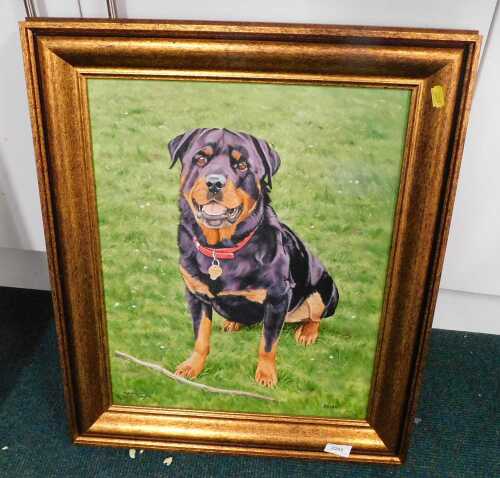 Malcolm Doughty (20thC). Kuba Rottweiler, oil on canvas, signed, dated and titled 2010, 50cm x...