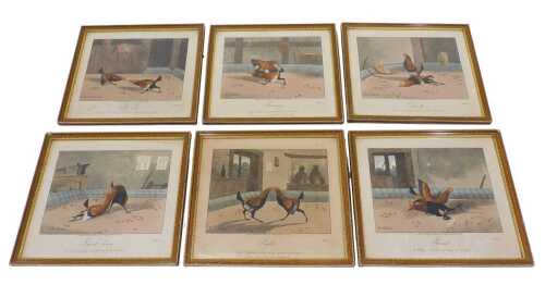 After Alken (19thC). Cockfighting plates, to include Plate 1 Set Too, 19thC book plate...
