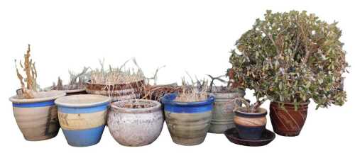 A group of garden plant pots, of varying sizes and designs, including glazed examples. (10)