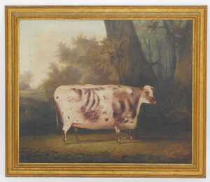 19thC English School. Portrait of a bull, oil on canvas, 64cm x 76cm. Provenance: The St. George'... - 2
