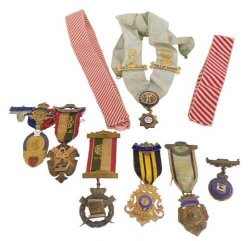 A collection of Royal Order of Buffaloes medals or duals, awarded to a Brother G Chaplin C.P,...
