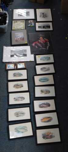 Pictures and prints, to include prints of fish, including salmon, char, etc., twelve in the...