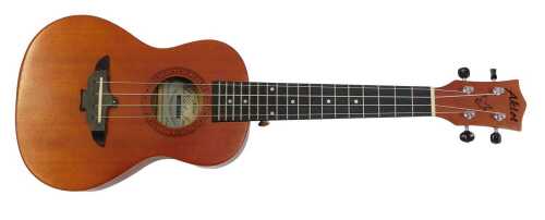 An Aklot ukulele, model AKC23, 58cm long, in a canvas case.