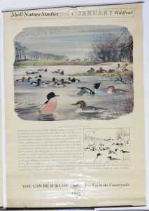 Ten Shell Nature Studies posters, comprising Wildlife in April, January Wild Fowl, September... - 2