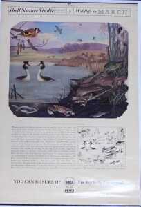 Ten Shell Nature Studies posters, comprising Wildlife in April, January Wild Fowl, September... - 3