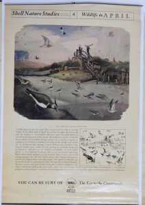 Ten Shell Nature Studies posters, comprising Wildlife in April, January Wild Fowl, September... - 4