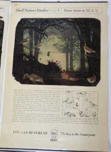 Ten Shell Nature Studies posters, comprising Wildlife in April, January Wild Fowl, September... - 5