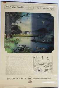 Ten Shell Nature Studies posters, comprising Wildlife in April, January Wild Fowl, September... - 6
