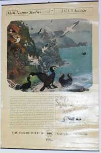 Ten Shell Nature Studies posters, comprising Wildlife in April, January Wild Fowl, September... - 7