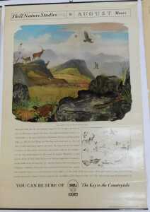 Ten Shell Nature Studies posters, comprising Wildlife in April, January Wild Fowl, September... - 8