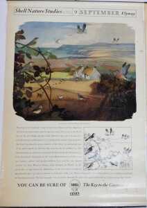 Ten Shell Nature Studies posters, comprising Wildlife in April, January Wild Fowl, September... - 9