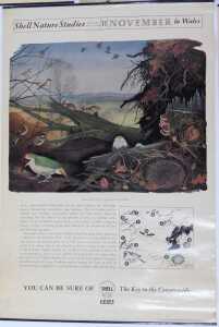 Ten Shell Nature Studies posters, comprising Wildlife in April, January Wild Fowl, September... - 10