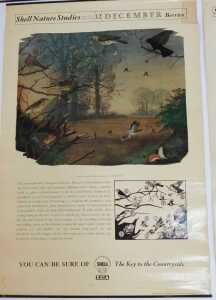 Ten Shell Nature Studies posters, comprising Wildlife in April, January Wild Fowl, September... - 11