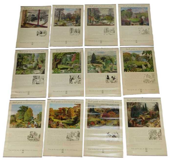 Twelve Shell Guide to Trees posters, comprising April, October, September, November, July, June,...