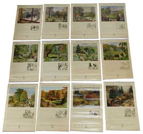 Twelve Shell Guide to Trees posters, comprising April, October, September, November, July, June,...