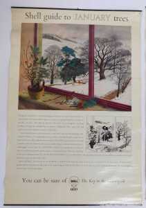 Twelve Shell Guide to Trees posters, comprising April, October, September, November, July, June,... - 2