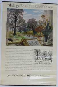 Twelve Shell Guide to Trees posters, comprising April, October, September, November, July, June,... - 3