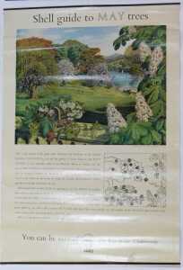 Twelve Shell Guide to Trees posters, comprising April, October, September, November, July, June,... - 6