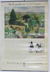 Twelve Shell Guide to Trees posters, comprising April, October, September, November, July, June,... - 7