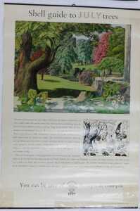 Twelve Shell Guide to Trees posters, comprising April, October, September, November, July, June,... - 8