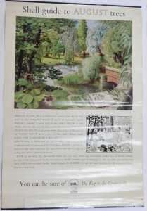 Twelve Shell Guide to Trees posters, comprising April, October, September, November, July, June,... - 9