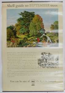 Twelve Shell Guide to Trees posters, comprising April, October, September, November, July, June,... - 10