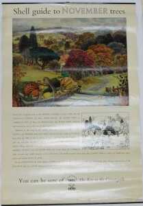 Twelve Shell Guide to Trees posters, comprising April, October, September, November, July, June,... - 12