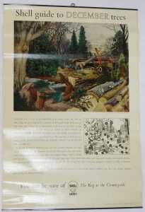 Twelve Shell Guide to Trees posters, comprising April, October, September, November, July, June,... - 13