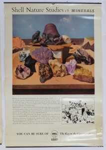 Eleven Shell Nature Studies posters, comprising 24 Snails, 18 Minerals, 21 Bird's Eggs, 19 Sea... - 3