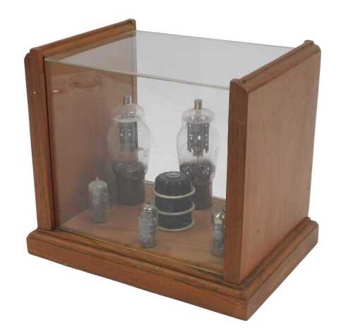A teak and Perspex display case, containing various glass valves, 23.5cm high.
