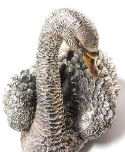 An Elizabeth II silver cast figure of a swan, with a gilded beak, London 2019, 48.01oz all in,... - 2