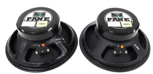 A pair of Fane electric speakers, classic model 12-100.
