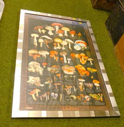 A "Poisonous & Psychotropic Mushrooms" print, 89cm x 59cm.