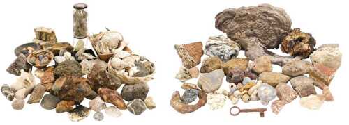 Assorted seashells, pyrities, stones and rock formations, fossilised wood, etc. (a quantity)