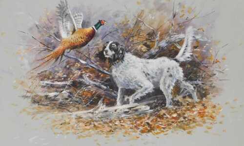 Ryan (late 20thC). Spaniel eyeing a pheasant, oil on board, signed, 39cm x 62cm.