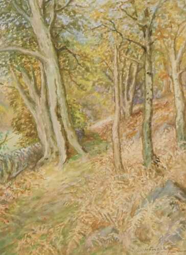 Albert Henry Findley (British 1880-1975). A woodland in early Autumn, watercolour, signed 26cm x...