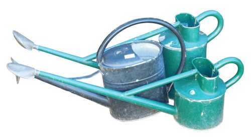 Three painted galvanised metal watering cans, each with a rose, two in green and one in dark blue.