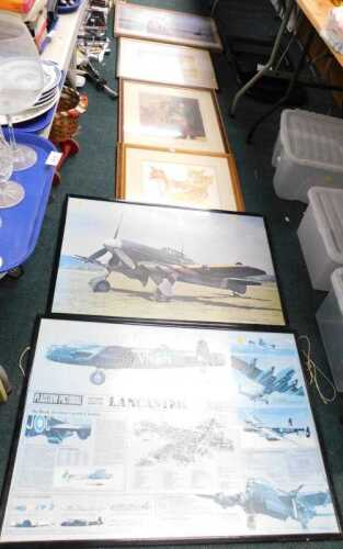 V - Framed pictures and prints, to include aviation, cats, etc. (a quantity) Note: VAT is payable on...