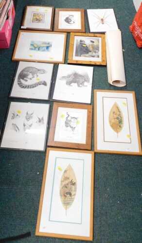 Framed pictures and prints, to include cats, birds, natural world, etc. (a quantity)