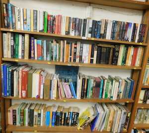 Books, mixed interest, authors to include Ruth Rendell, Philippa Gregory, Andy McNab, Hillary...