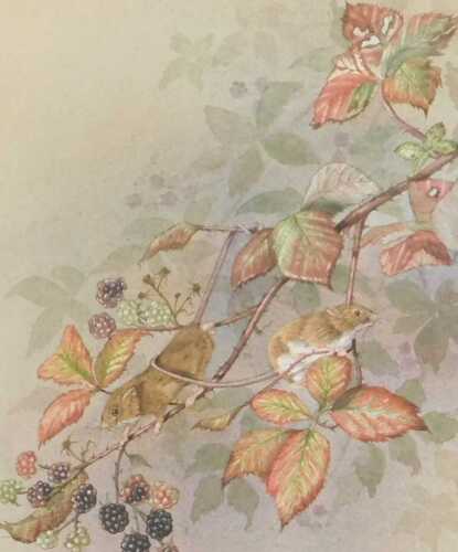 Jennifer Bell (British late 20th/early 21stC). Field mice pursuing blackberries, watercolour,...