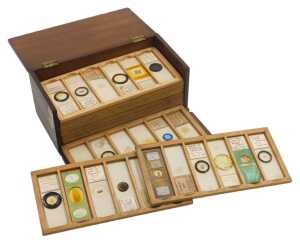 A late 19thC box of microscope slides, of botanical subjects, hair, together with six...