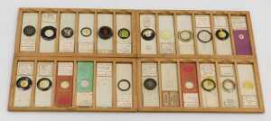 A late 19thC box of microscope slides, of botanical subjects, hair, together with six... - 3