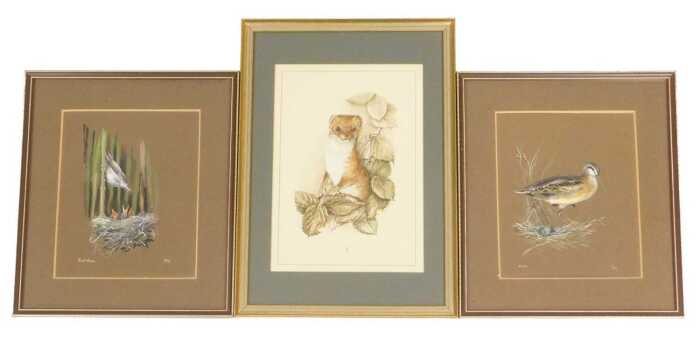 English School (late 20thC). Study of a stoat, watercolour, monogrammed SH, 25cm x 18cm, and...