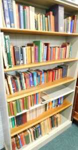 Various books, fiction and non-fiction, Greek English Lexicon, A History of The Roman Repulic,...